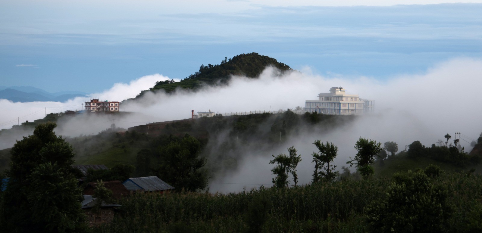 वाह ! फिक्कल